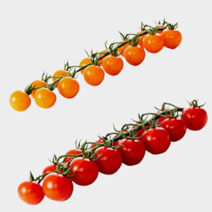 Cherry Tomatoes